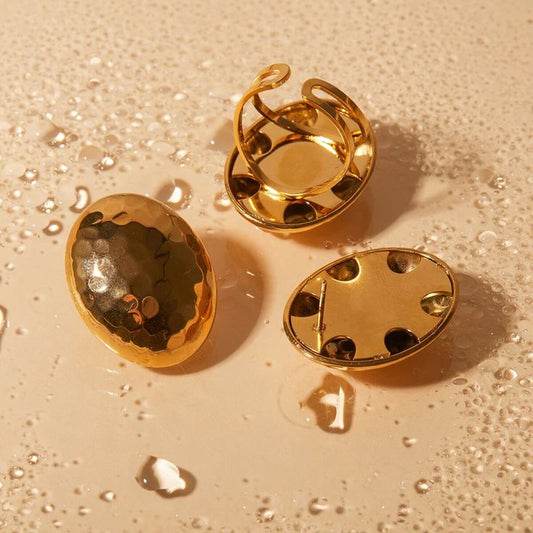 SPECIAL GIFT CAMILLE - Brincos & Anel